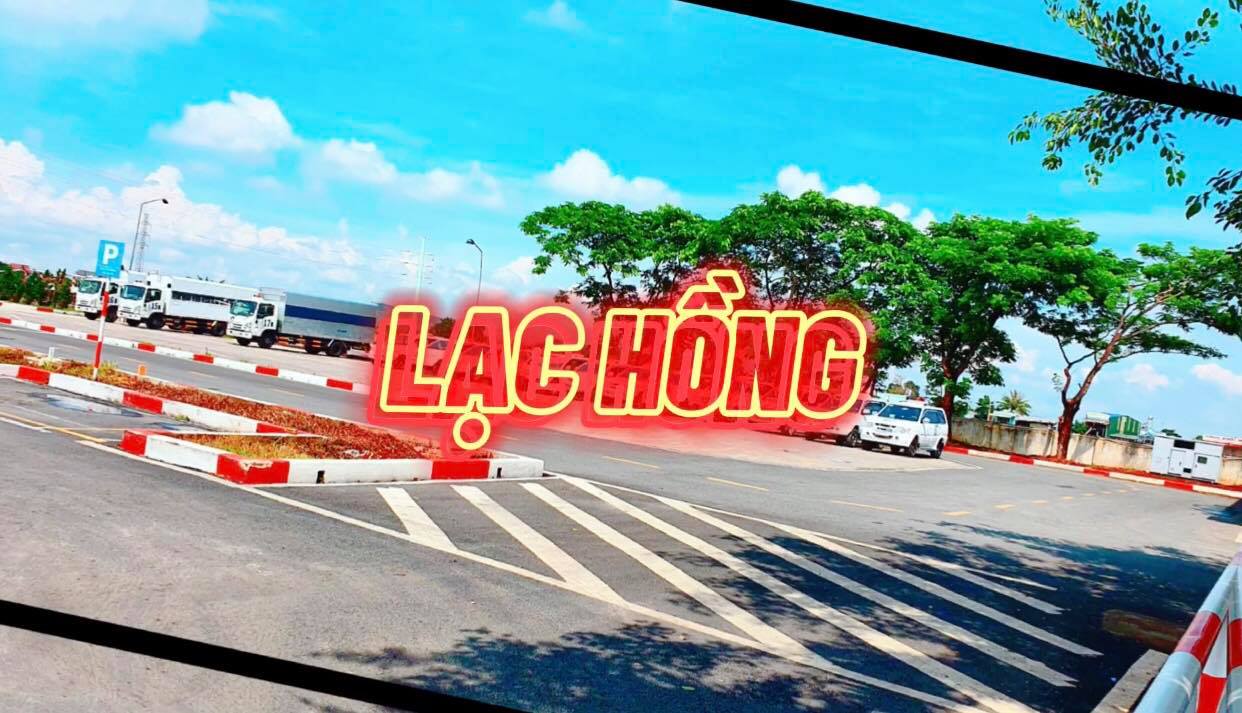 thực hành lái xe ô tô