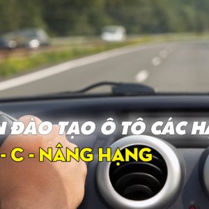 Các xe tập thực hành cho học viên tại trung tâm Lạc Hồng